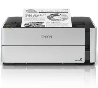 Замена головки на принтере Epson M1180 в Краснодаре